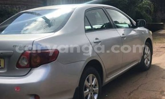 Buy Used Toyota Corolla Silver Car in Blantyre in Malawi Buy Used Toyota Corolla Silver Car in Blantyre in Malawi