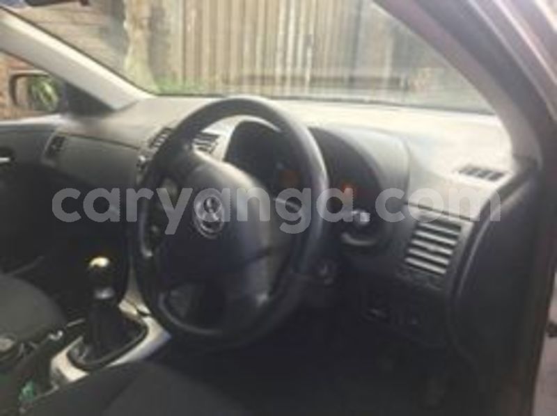 Big with watermark 66174204 138773763989101 2280696181854044160 n