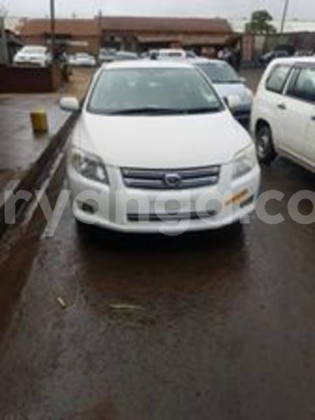 Big with watermark 66022375 138583624008115 2177416804094181376 n