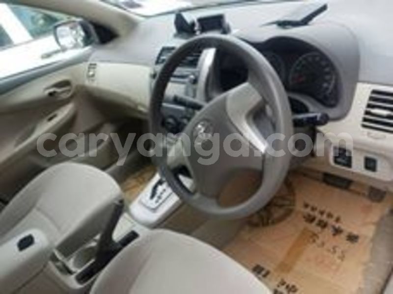 Big with watermark 66854653 138583600674784 4986493567942787072 n