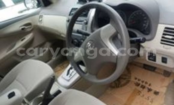 Buy Used Toyota Axio White Car in Blantyre in Malawi Buy Used Toyota Axio White Car in Blantyre in Malawi