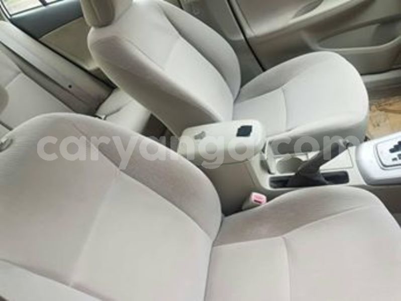 Big with watermark 66027405 138583557341455 6795580092765437952 n