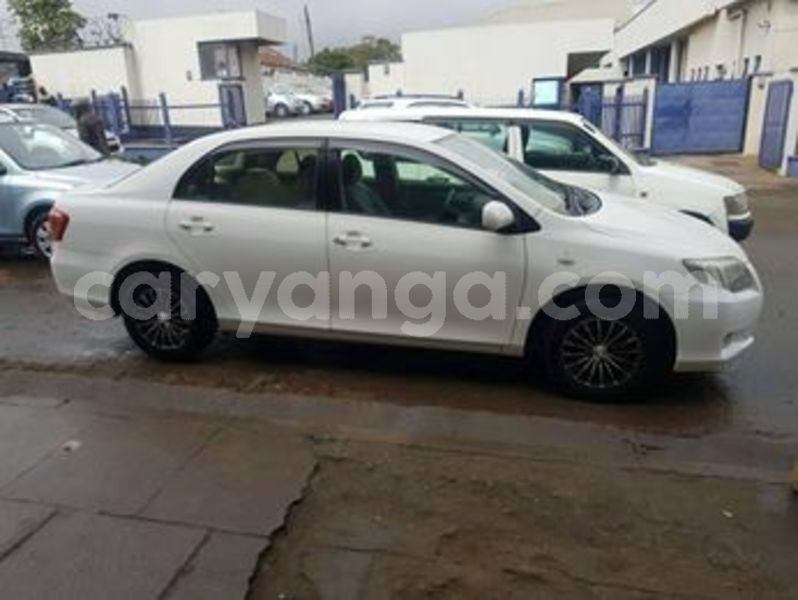 Big with watermark 66079162 138583540674790 585993084324544512 n