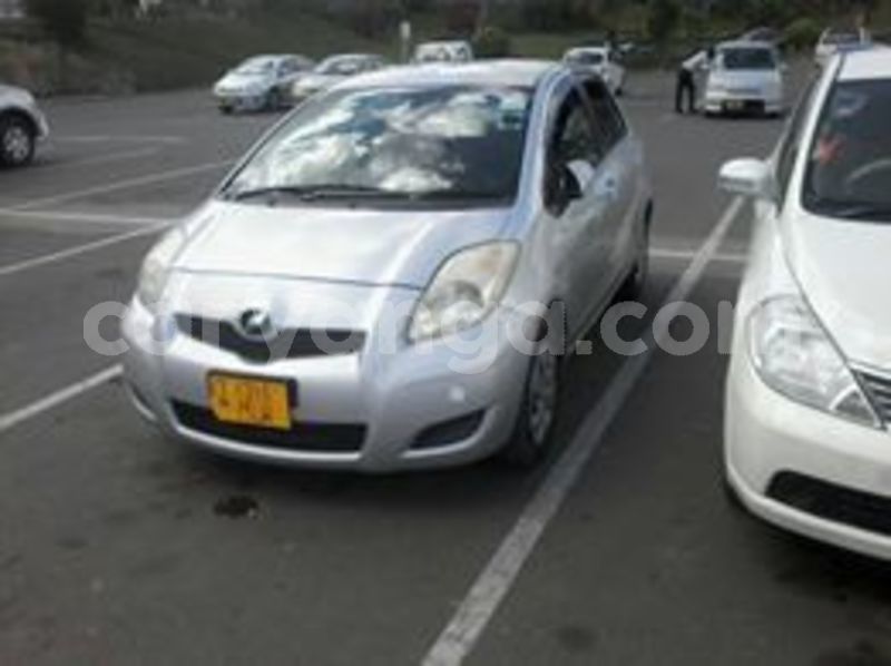 Big with watermark 66001855 138547477345063 2152310620010053632 n