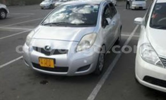 Buy Used Toyota Vitz Silver Car in Blantyre in Malawi Buy Used Toyota Vitz Silver Car in Blantyre in Malawi