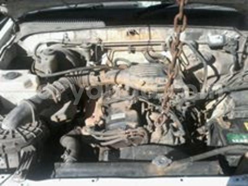 Big with watermark 66115858 138115577388253 6769102066062196736 n