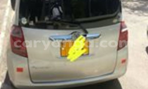 Buy Used Toyota Ractis Silver Car in Blantyre in Malawi Buy Used Toyota Ractis Silver Car in Blantyre in Malawi