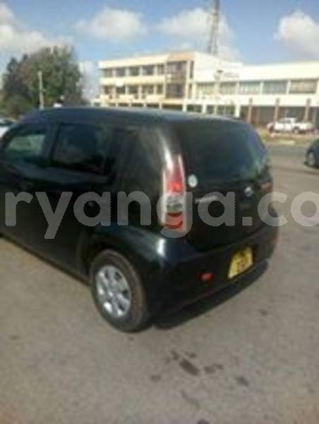 Big with watermark 65786655 137785077421303 2255172226301034496 n