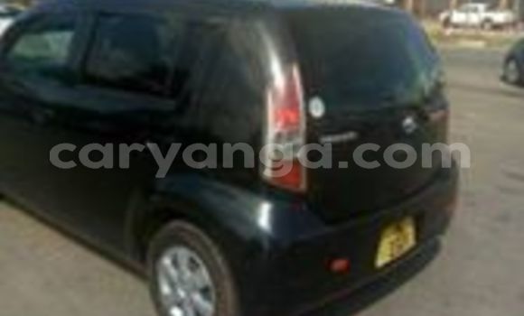 Buy Used Toyota Passo Black Car in Blantyre in Malawi Buy Used Toyota Passo Black Car in Blantyre in Malawi