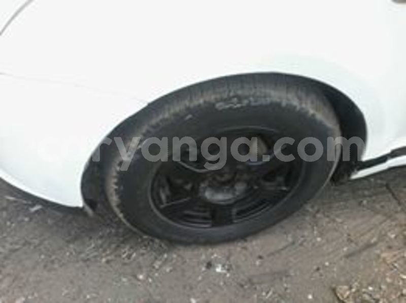 Big with watermark 65951341 137551874111290 1421703027596722176 n