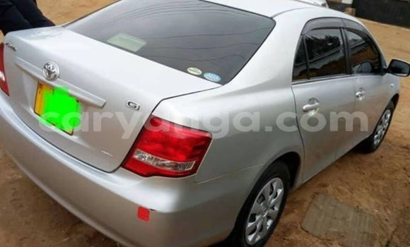 Buy Used Toyota Axio Silver Car in Blantyre in Malawi Buy Used Toyota Axio Silver Car in Blantyre in Malawi