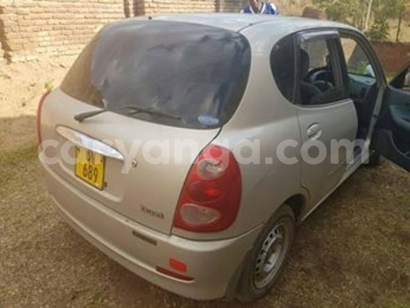 Big with watermark 64786593 137044837495327 2323721042511527936 n