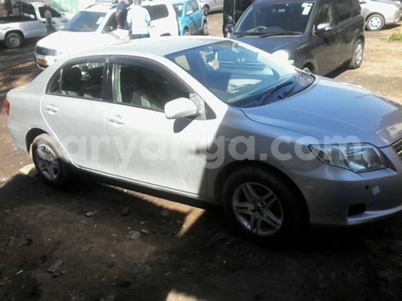 Big with watermark 65286165 136313300901814 6635238565489934336 n