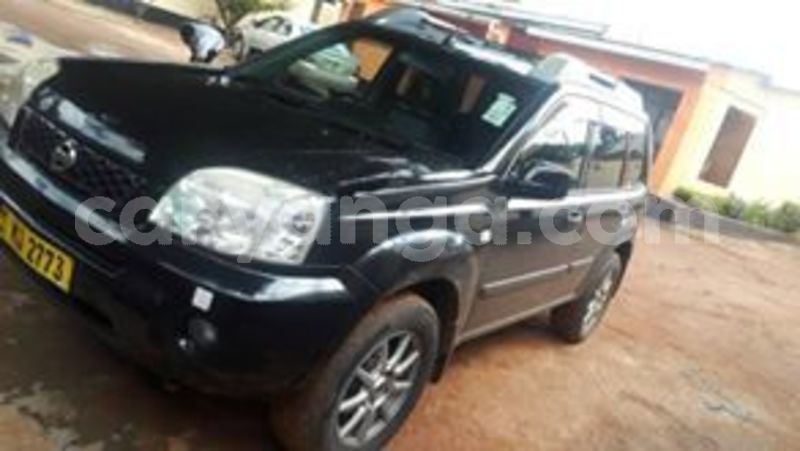 Big with watermark 65315594 135661120967032 4867016464055402496 n