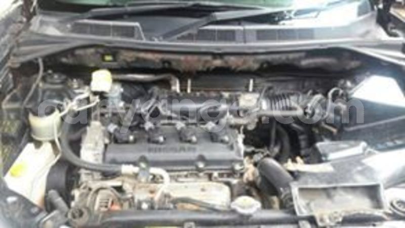 Big with watermark 65045039 135661140967030 7419193104873291776 n