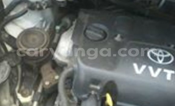 Buy Used Toyota Vitz White Car in Blantyre in Malawi Buy Used Toyota Vitz White Car in Blantyre in Malawi