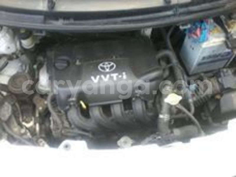 Big with watermark 65041937 135473720985772 6535563932306767872 n