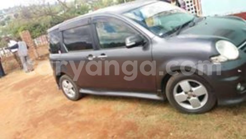 Big with watermark 65318914 135017241031420 6005485931992186880 n