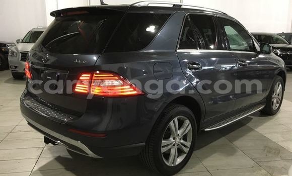 Buy Used Mercedes‒Benz ML–Class Black Car in Dowa in Dowa