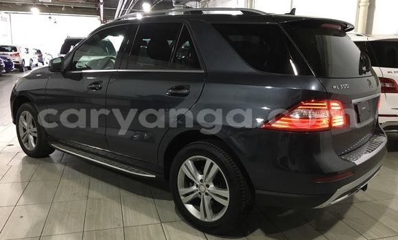 Buy Used Mercedes‒Benz ML–Class Black Car in Dowa in Dowa Buy Used Mercedes‒Benz ML–Class Black Car in Dowa in Dowa