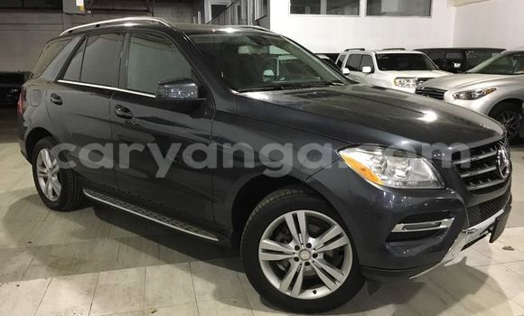 Buy Used Mercedes‒Benz ML–Class Black Car in Dowa in Dowa Buy Used Mercedes‒Benz ML–Class Black Car in Dowa in Dowa