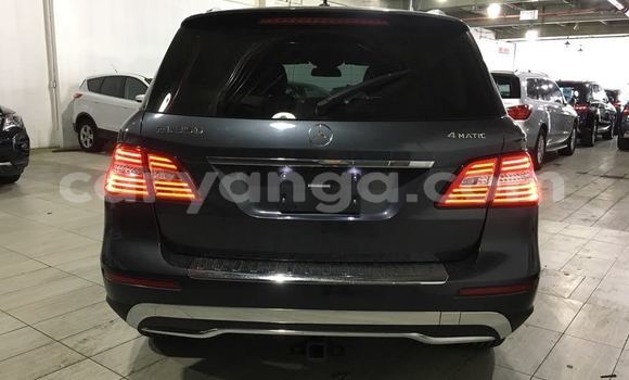 Buy Used Mercedes‒Benz ML–Class Black Car in Dowa in Dowa Buy Used Mercedes‒Benz ML–Class Black Car in Dowa in Dowa