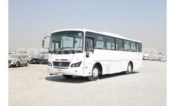 Buy Import Tata Xenon White Car in Import - Dubai in Malawi