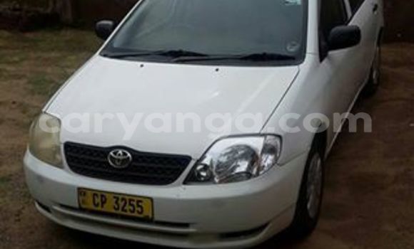 Nunua Ilio tumika Toyota Corolla White Gari ndani ya Limbe nchini Malawi Nunua Ilio tumika Toyota Corolla White Gari ndani ya Limbe nchini Malawi