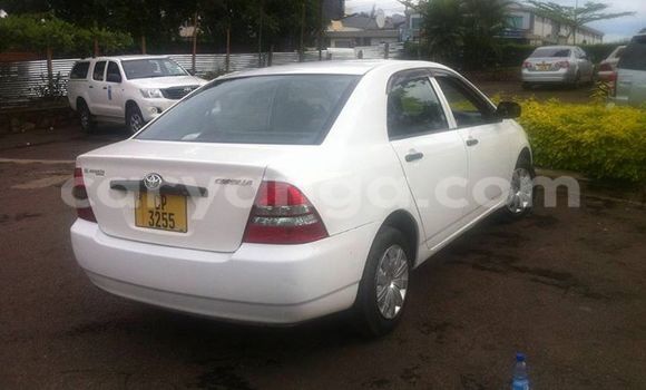 Nunua Ilio tumika Toyota Corolla White Gari ndani ya Limbe nchini Malawi Nunua Ilio tumika Toyota Corolla White Gari ndani ya Limbe nchini Malawi