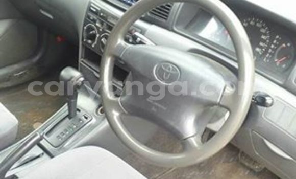Nunua Ilio tumika Toyota Corolla White Gari ndani ya Limbe nchini Malawi Nunua Ilio tumika Toyota Corolla White Gari ndani ya Limbe nchini Malawi