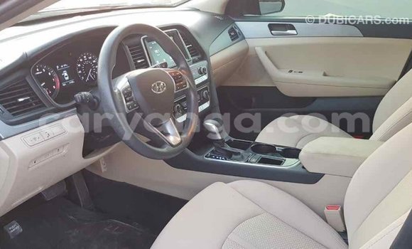 Buy Import Hyundai Sonata Black Car in Import - Dubai in Malawi Buy Import Hyundai Sonata Black Car in Import - Dubai in Malawi