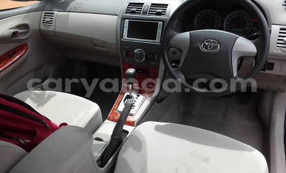 Buy Used Toyota Axio Black Car in Limbe in Malawi Buy Used Toyota Axio Black Car in Limbe in Malawi