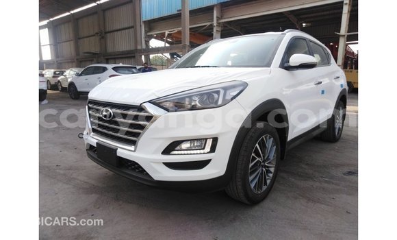 Buy Import Hyundai Tucson White Car in Import - Dubai in Malawi Buy Import Hyundai Tucson White Car in Import - Dubai in Malawi