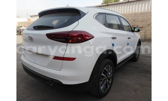 Buy Import Hyundai Tucson White Car in Import - Dubai in Malawi Buy Import Hyundai Tucson White Car in Import - Dubai in Malawi
