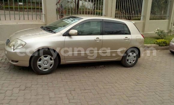 Buy Used Toyota Runx Other Car in Limbe in Malawi Buy Used Toyota Runx Other Car in Limbe in Malawi