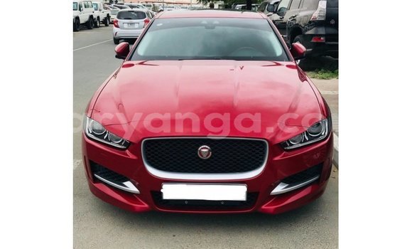 Buy Import Jaguar XE Red Car in Import - Dubai in Malawi