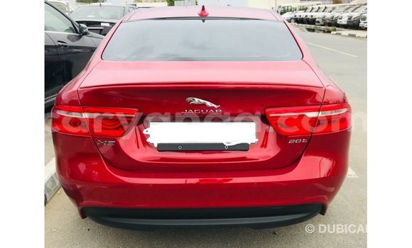 Buy Import Jaguar XE Red Car in Import - Dubai in Malawi Buy Import Jaguar XE Red Car in Import - Dubai in Malawi