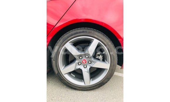 Buy Import Jaguar XE Red Car in Import - Dubai in Malawi Buy Import Jaguar XE Red Car in Import - Dubai in Malawi