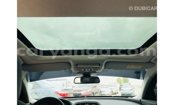 Buy Import Jaguar XE Red Car in Import - Dubai in Malawi Buy Import Jaguar XE Red Car in Import - Dubai in Malawi