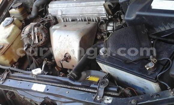 Buy Used Toyota Caldina Car in Limbe in Malawi