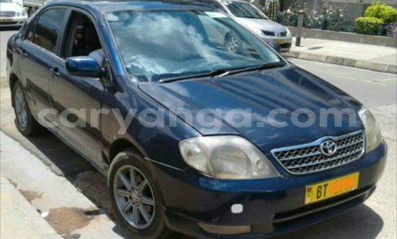 Buy Used Toyota Corolla Black Car in Limbe in Malawi Buy Used Toyota Corolla Black Car in Limbe in Malawi