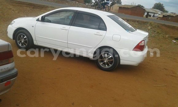 Acheter Occasion Voiture Toyota Corolla Blanc à Limbe, Malawi Acheter Occasion Voiture Toyota Corolla Blanc à Limbe, Malawi
