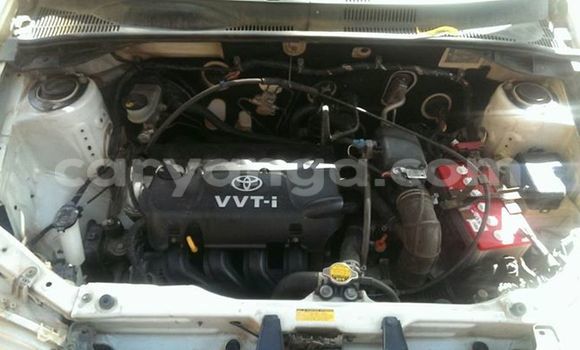 Buy Used Toyota Probox White Car in Limbe in Malawi Buy Used Toyota Probox White Car in Limbe in Malawi