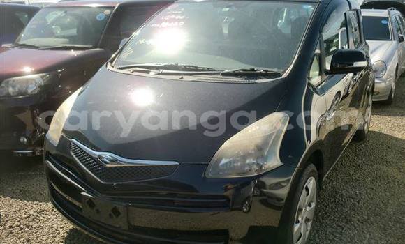 Buy Used Toyota Ractis Black Car in Blantyre in Malawi Buy Used Toyota Ractis Black Car in Blantyre in Malawi
