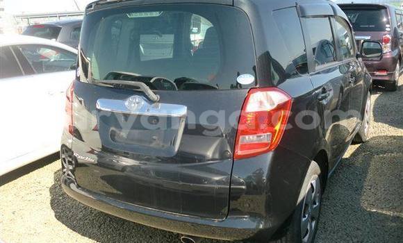 Buy Used Toyota Ractis Black Car in Blantyre in Malawi Buy Used Toyota Ractis Black Car in Blantyre in Malawi