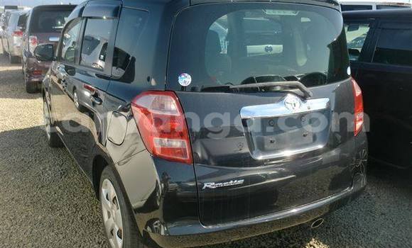 Buy Used Toyota Ractis Black Car in Blantyre in Malawi Buy Used Toyota Ractis Black Car in Blantyre in Malawi