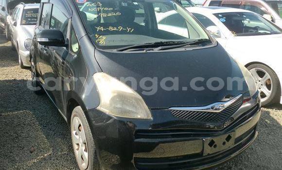 Buy Used Toyota Ractis Black Car in Blantyre in Malawi Buy Used Toyota Ractis Black Car in Blantyre in Malawi