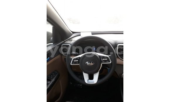 Buy Import Kia Sportage Black Car in Import - Dubai in Malawi Buy Import Kia Sportage Black Car in Import - Dubai in Malawi