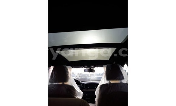 Buy Import Kia Sportage Black Car in Import - Dubai in Malawi Buy Import Kia Sportage Black Car in Import - Dubai in Malawi