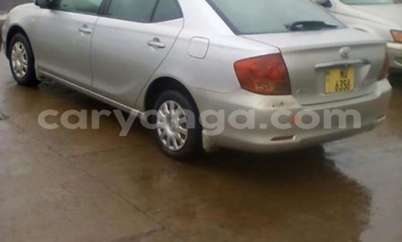 Buy Used Toyota Allex Silver Car in Limbe in Malawi Buy Used Toyota Allex Silver Car in Limbe in Malawi
